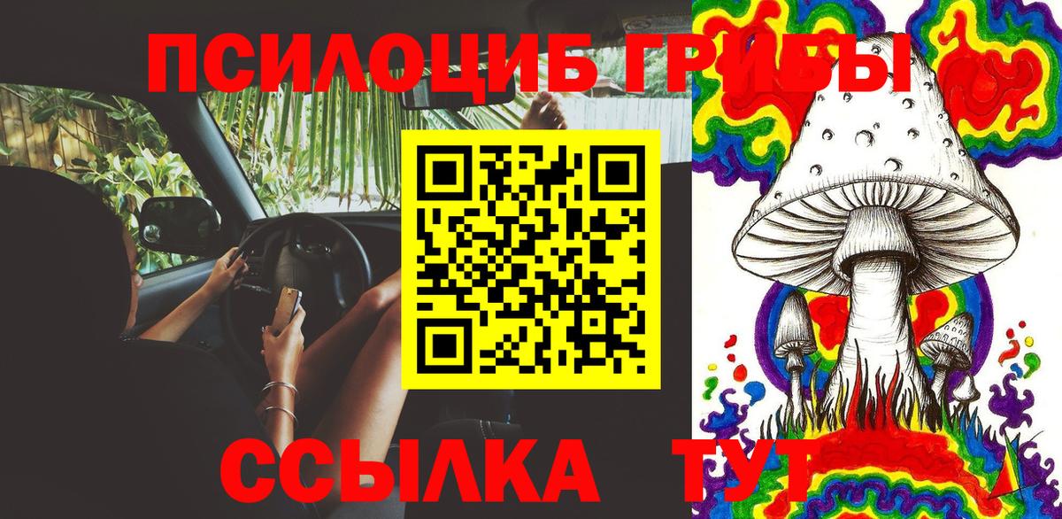 Псилоцибиновые грибы Magic Shrooms Домодедово